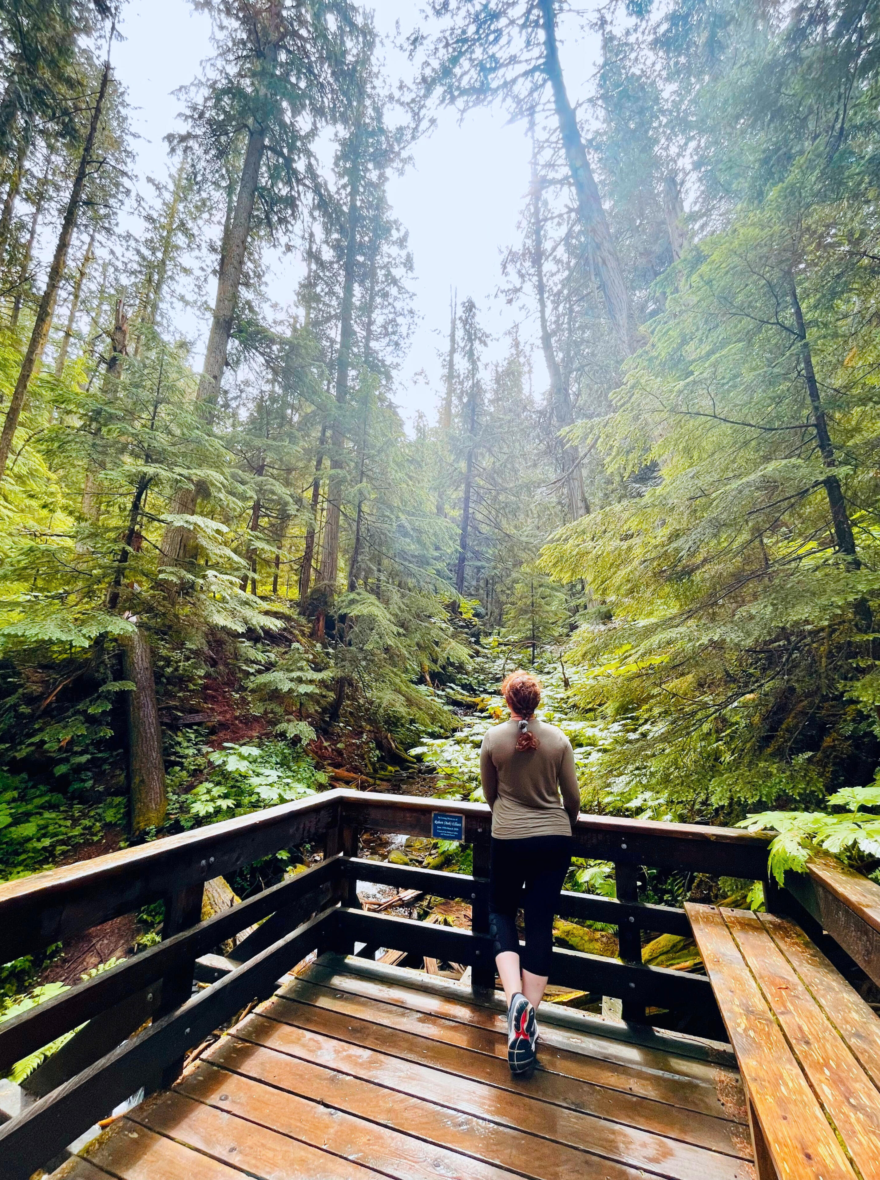 woman standing and looking at forest while at a rail, you see her back and the forest ahead